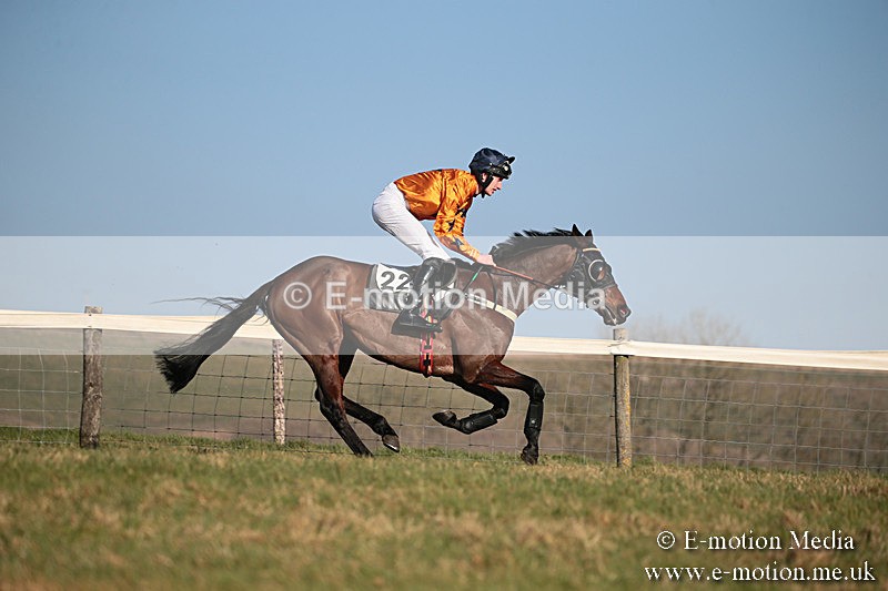 PtP 230219 391 - Vine & Craven Point-To-Point - Barbury 23/02/19