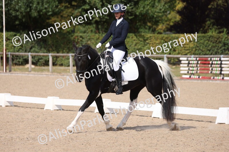 20250820-1356 - Class 19 - Medium 3