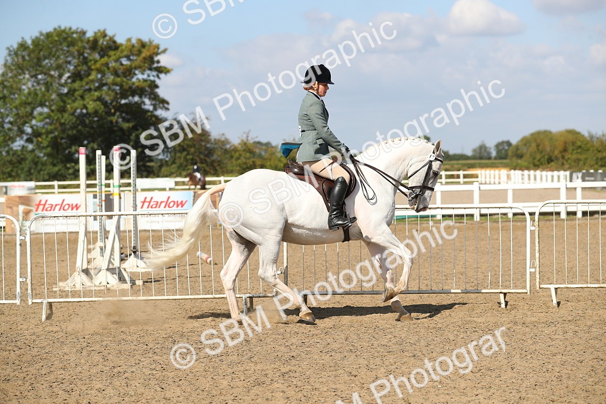 SBM_03140 - Class 44 Riding Club Horse/ Pony