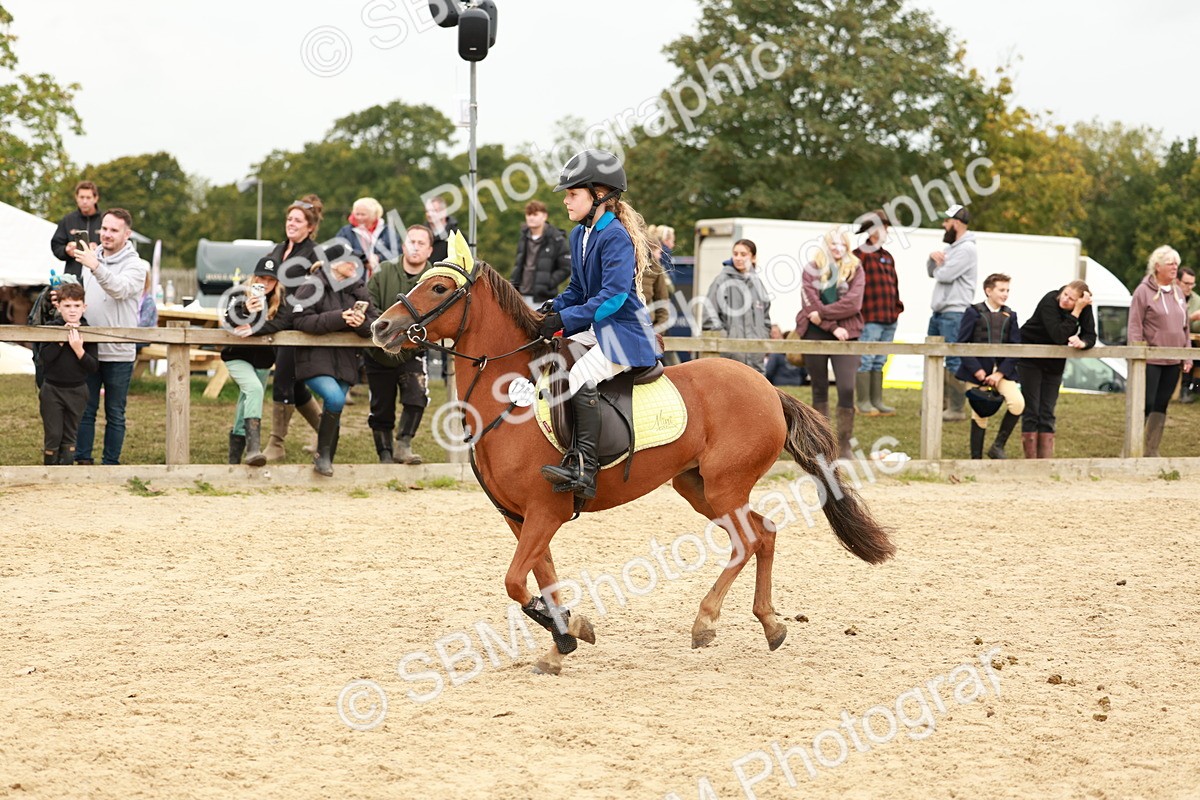 SBM_58142 - J11 - Junior Pony 50cm Championship