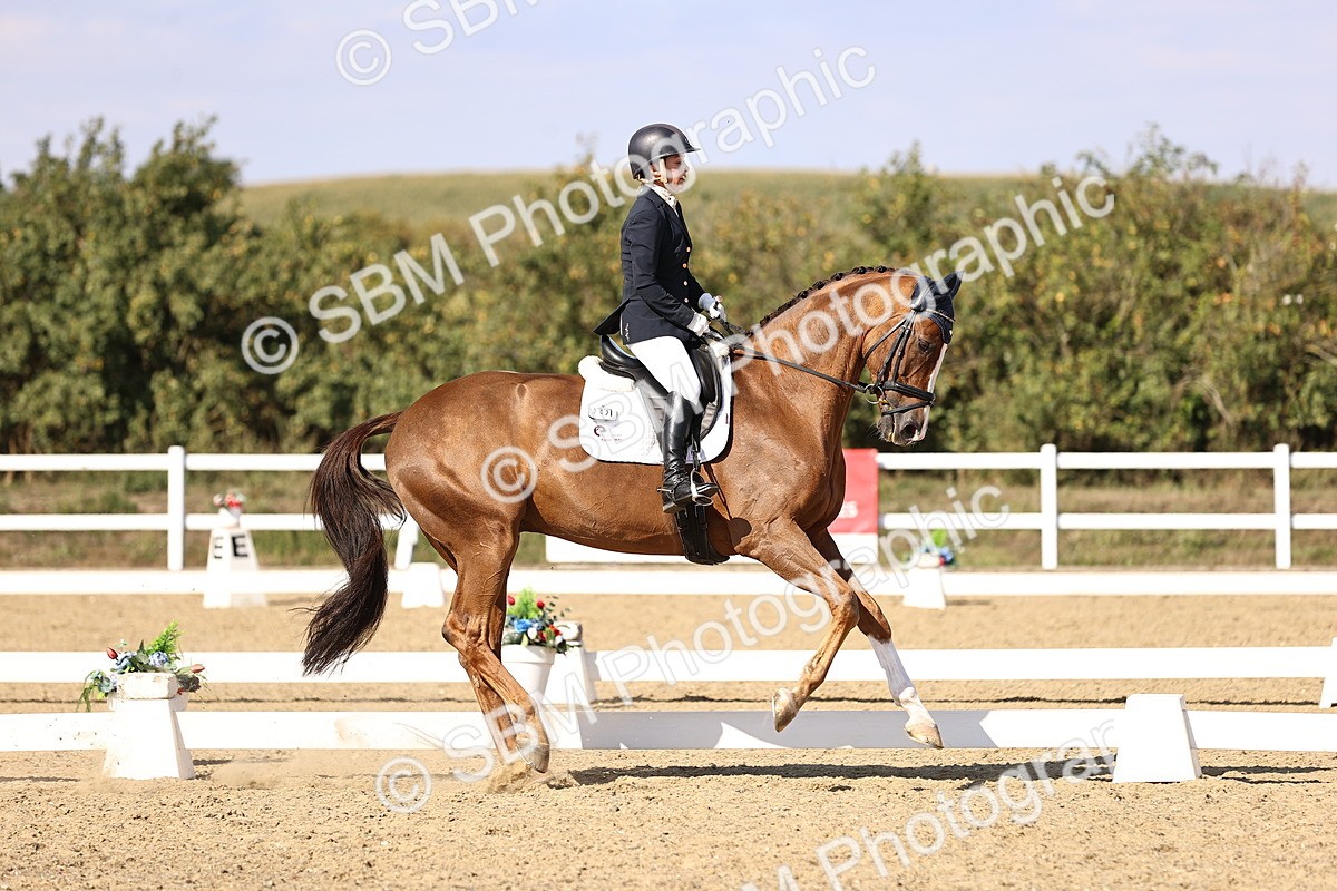 SBM_015254 - Class 8 - Medium 5