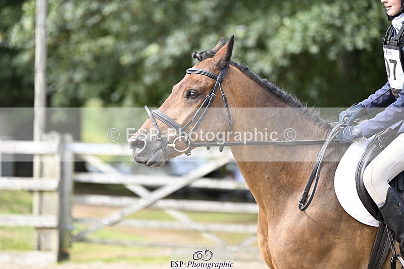 240823X-160653-19045 - 70cm R2 15.20 to 16.40