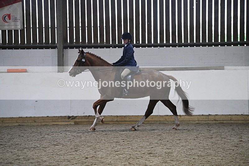 WJ7_4148 - Class 17 Ridden Cob