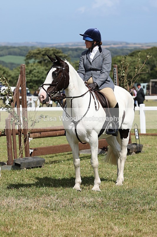 JPP_2432 - Class 19: Working Hunter 60cm