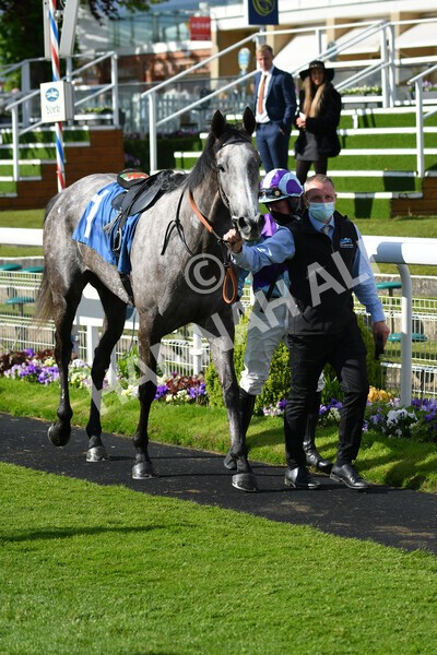 yr22052021r7-55 - Race 7 5.25pm Hudson Quarter York Palace Capital Stakes - Gentleman Amateur Riders Race