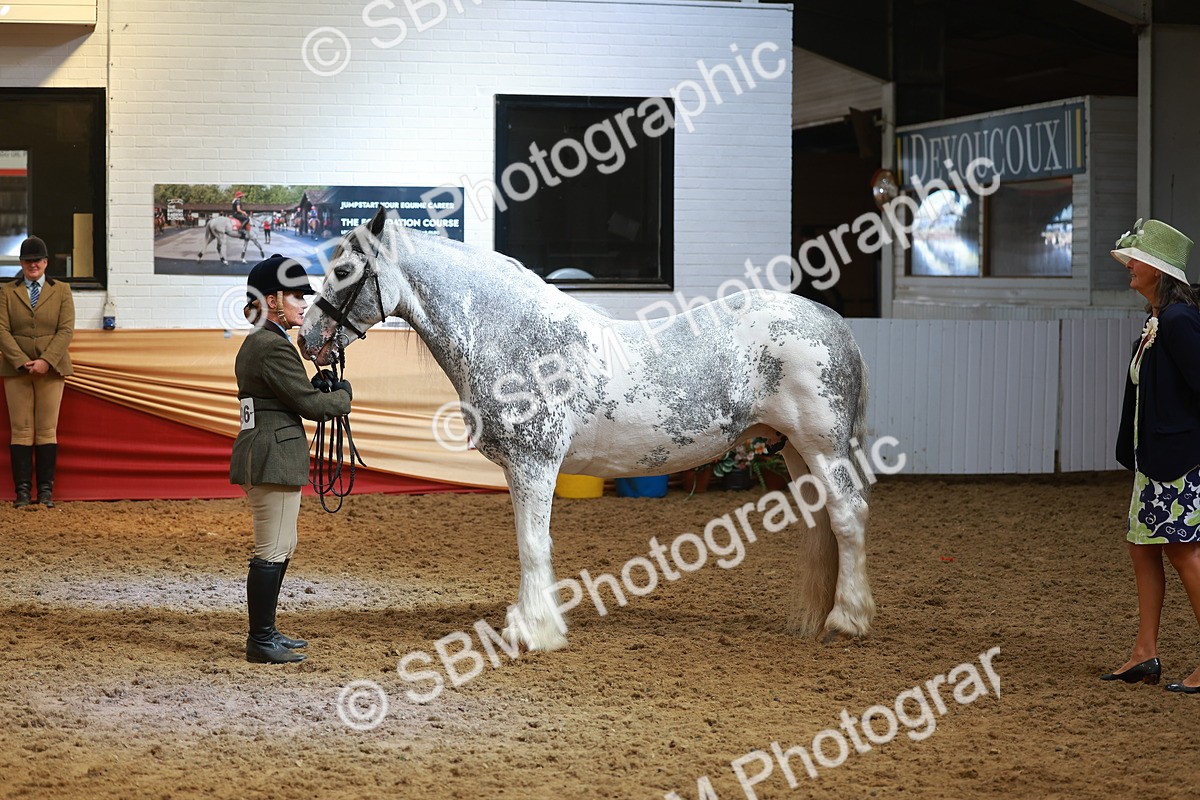 SBM_12621 - Class 103 - HOYS Veteran Qualifier - Ridden Pre Vet