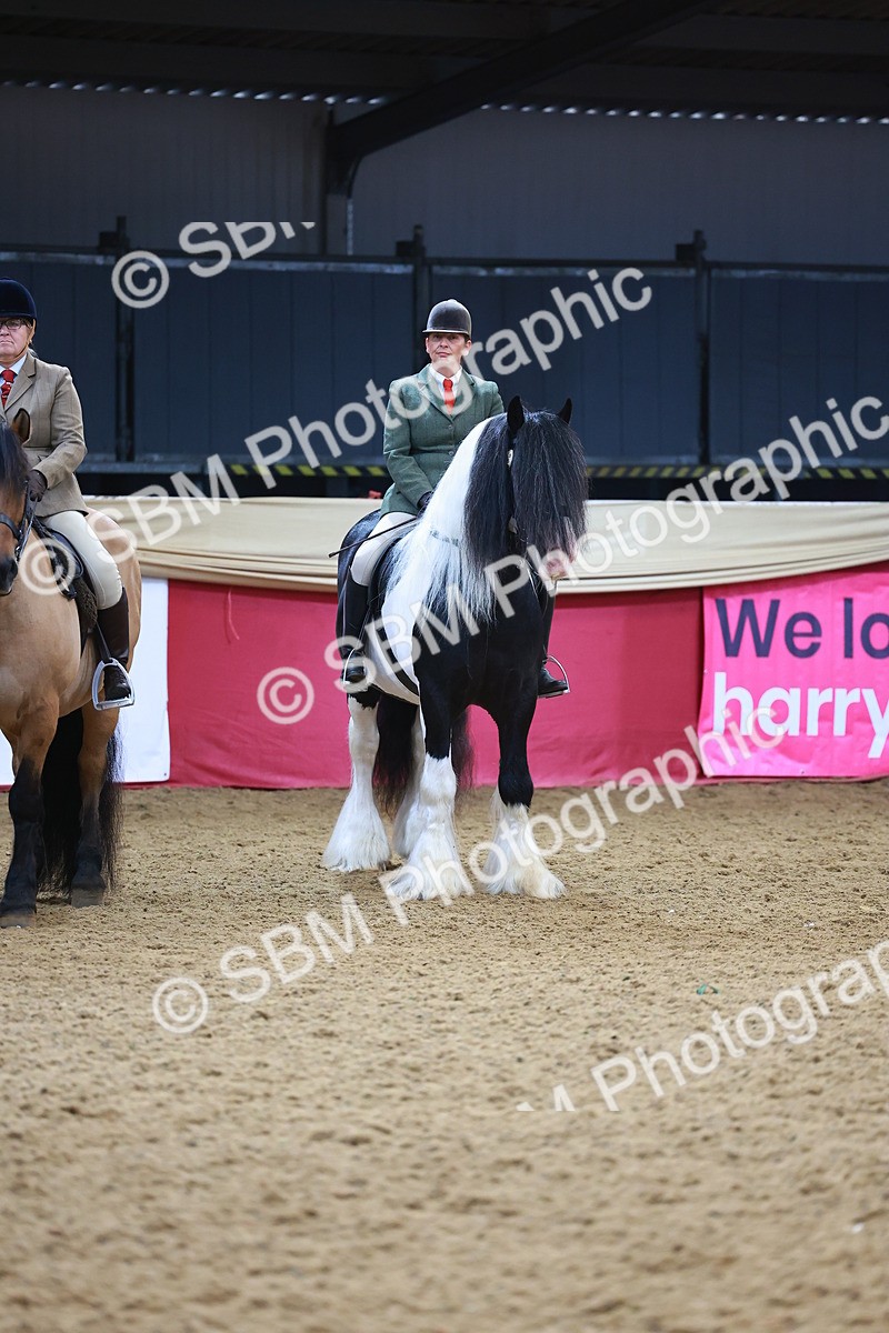 SBM_09854 - Class 102 - HOYS Veteran Qualifier - Ridden Veteran