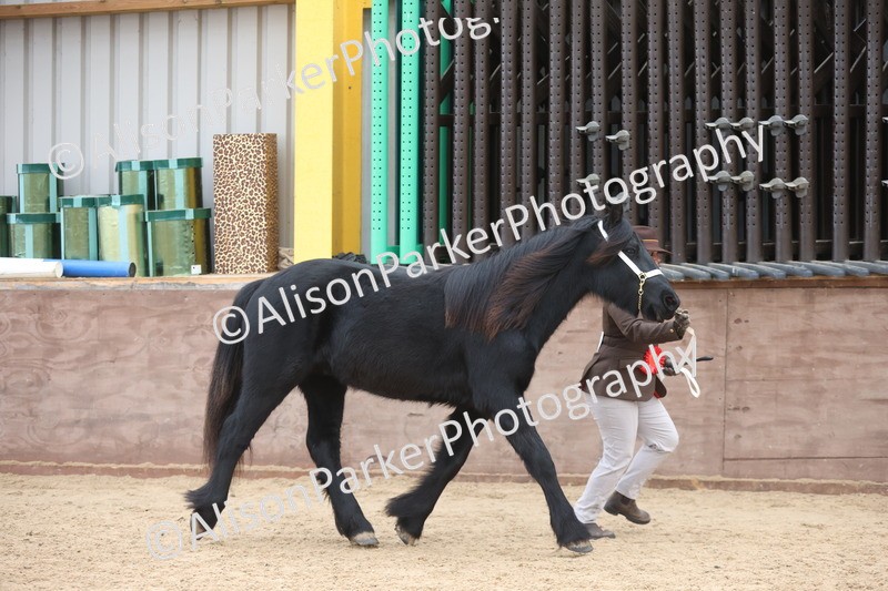 20251109-1158 - Championship