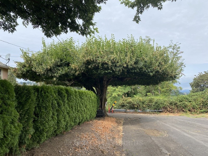  - The State We're In