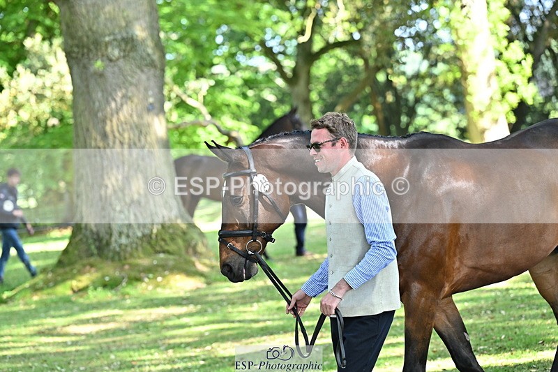 250521A-162542-01133 - C-222-Jason.Wood-NITOR