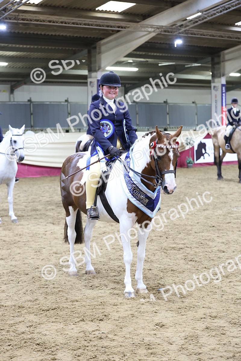 SBM_20250 - Class D - Grass Roots Champ