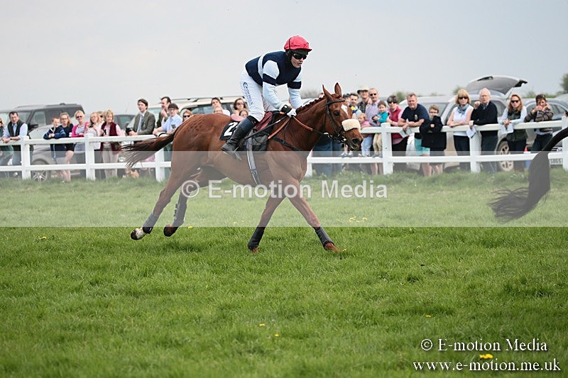 PtP 210418 352 - South & West Wilts Point-to-Point Larkhill 21/04/18