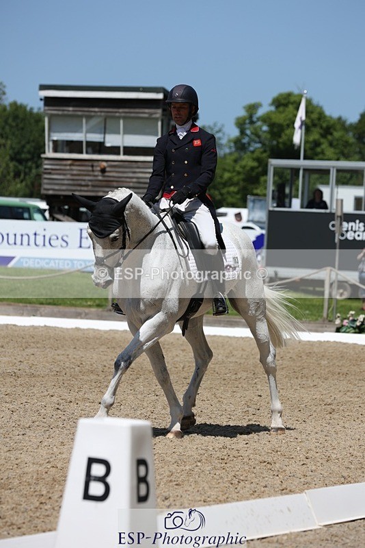 230526-125225-06274 - 163-UVERA_Z-Harry_Meade-WEDTrotUp+DR