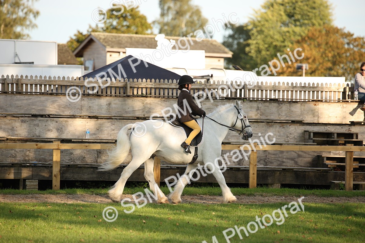 SBM_54422 - S27 - Mature Veteran - Ridden