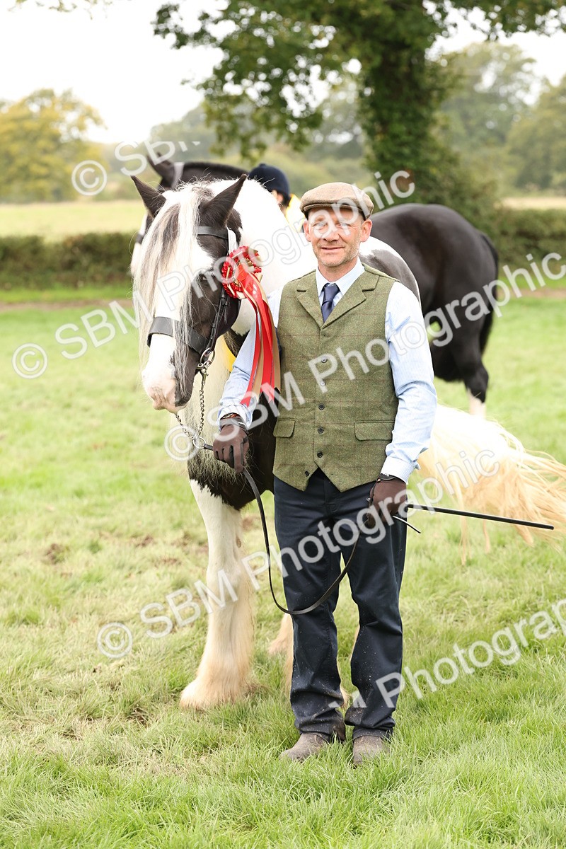 SBM_60870 - In Hand Horse Supreme Championship