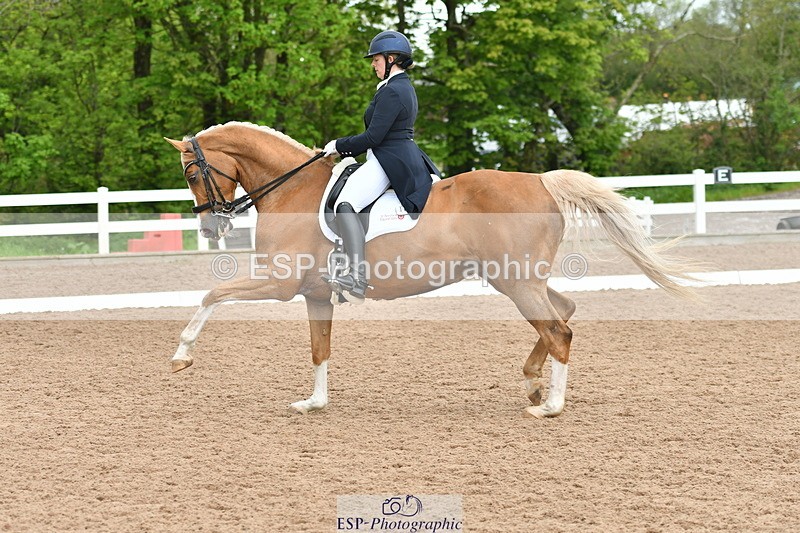 230511A-160111-01276 - BD Cls 18 FEI PSG