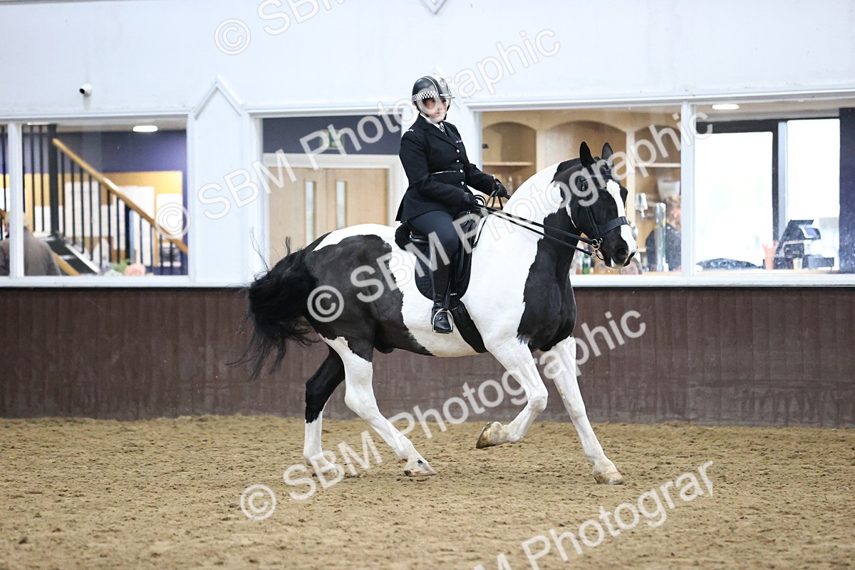 SBM_6370 - Class 45-42 - Ridden Irish Breeds-Ridden Cob