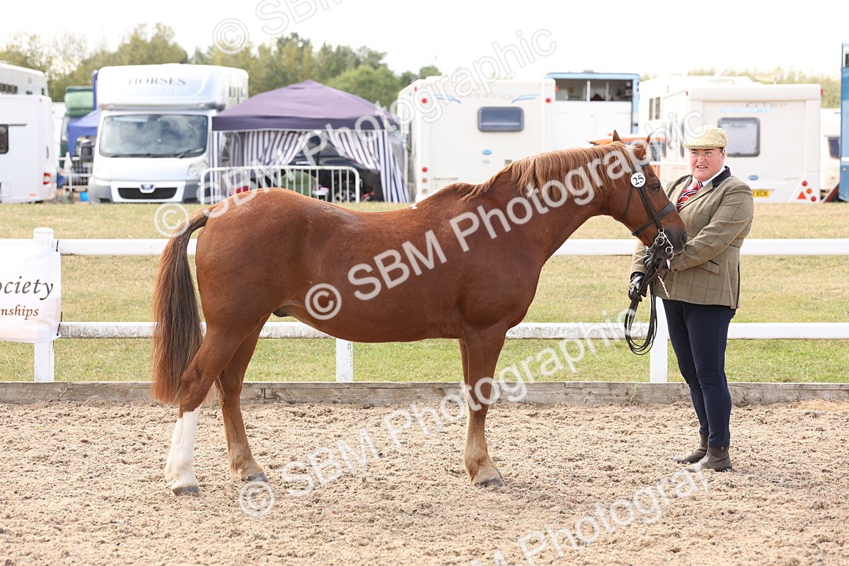 SBM_15094 - Class 209 - IH Veteran Pony