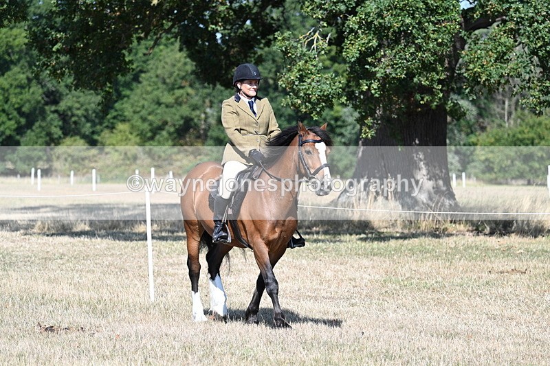 WJ7_3379 - Class 9 Mountain & Moorland Ridden