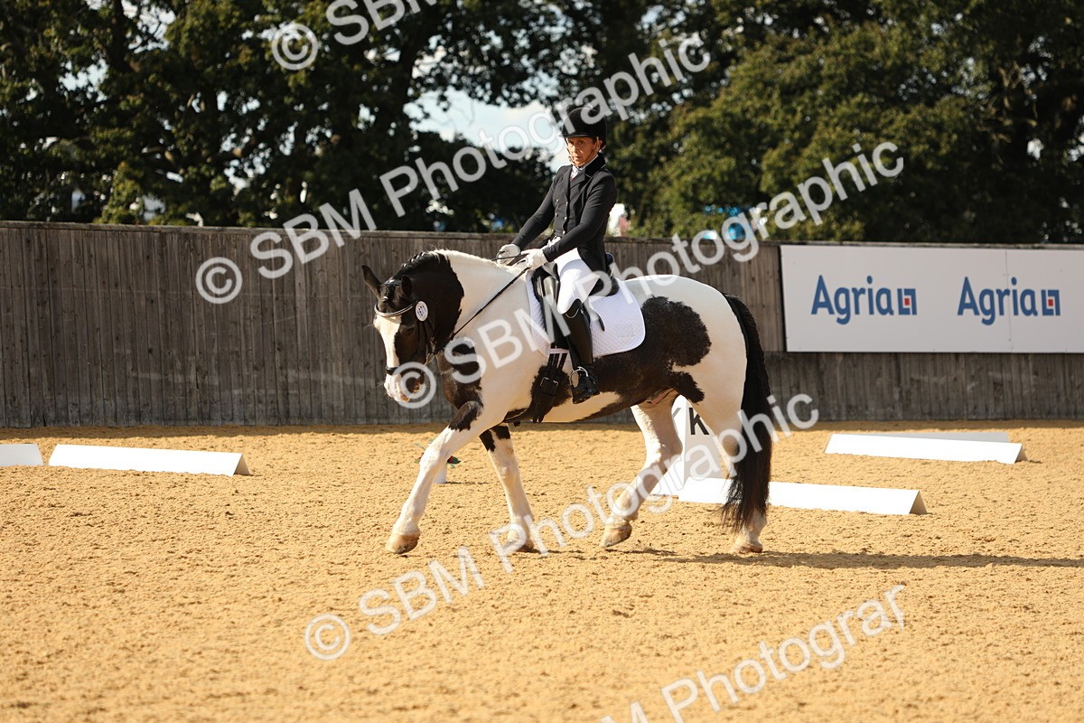 SBM_26690 - D17 - Grand Tour Championship - Novice 27
