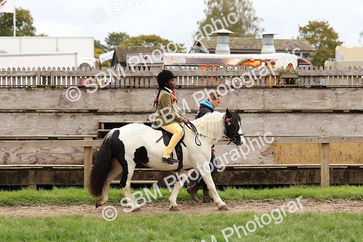 SBM_64370 - S58 - Coloured Pony Ridden