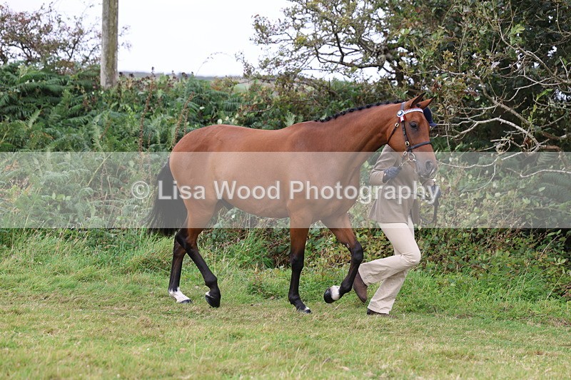 3E7A4341 - Class 15: Three Year Olds