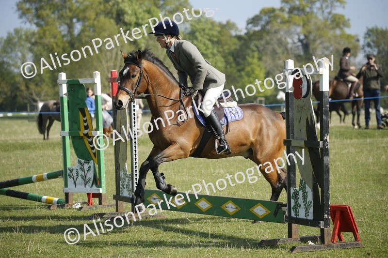 20250427-0237 - Class 12 - Rookie Jumping 40cm