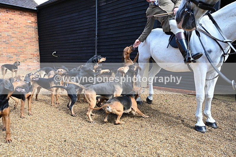 WJ7_7048 - Berks & Bucks at Blandy’s Farm 31-08-25