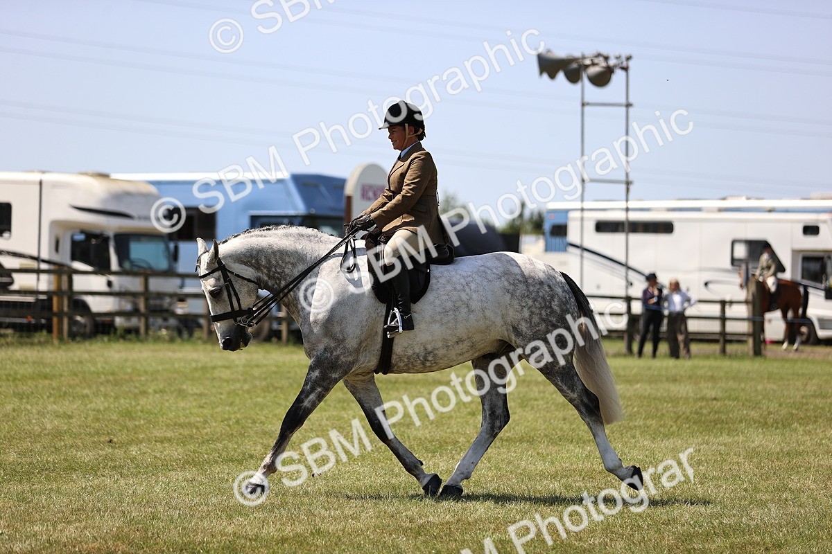 SBM_17724 - Class 81-83 - TSR Ridden Amateur of the Year - Horses