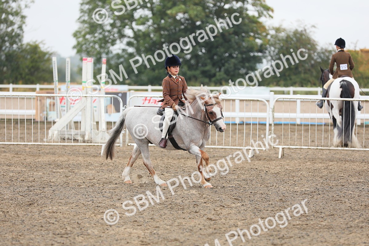 SBM_21824 - Class 806 - Young ridder 10 Yr & Under
