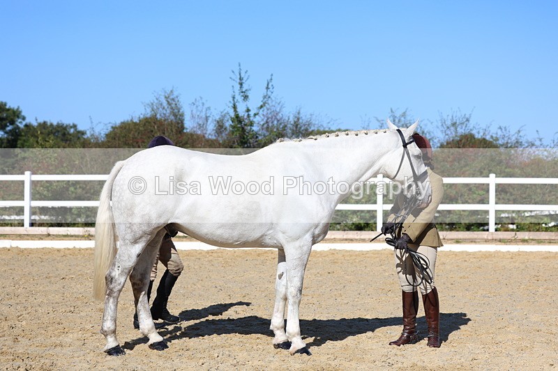 3E7A5578 - Class 9: Open Ridden Hunter