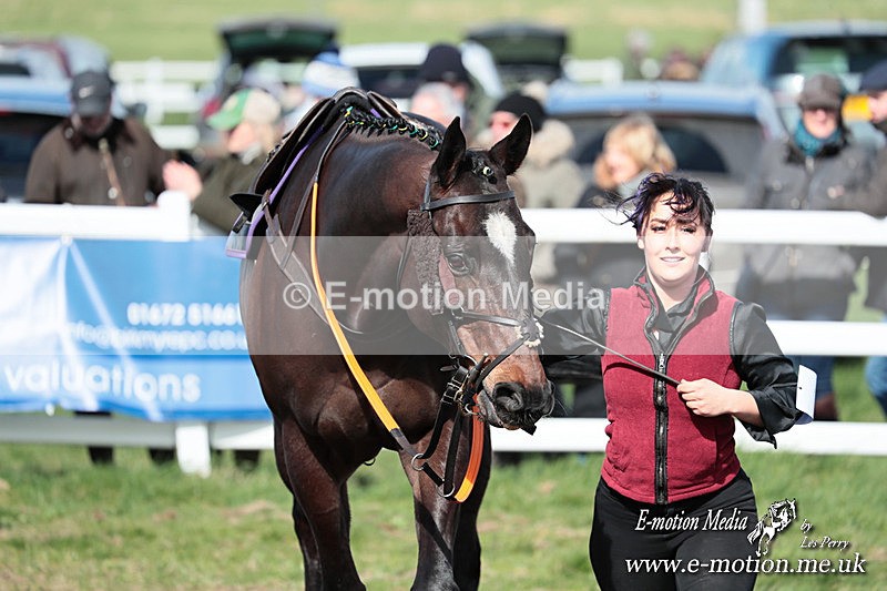 PtP 230324 235 - Tedworth Hunt PtP Larkhill Raccourse 23rd March 2024