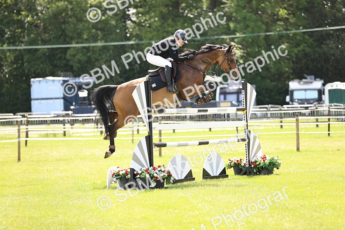 SBM_03990 - Class 201 - British Horse Feedds Speedi Beet HOYS Grade C
