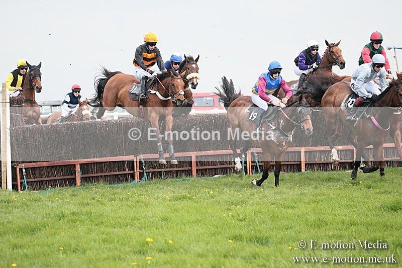 PtP 210418 337 - South & West Wilts Point-to-Point Larkhill 21/04/18
