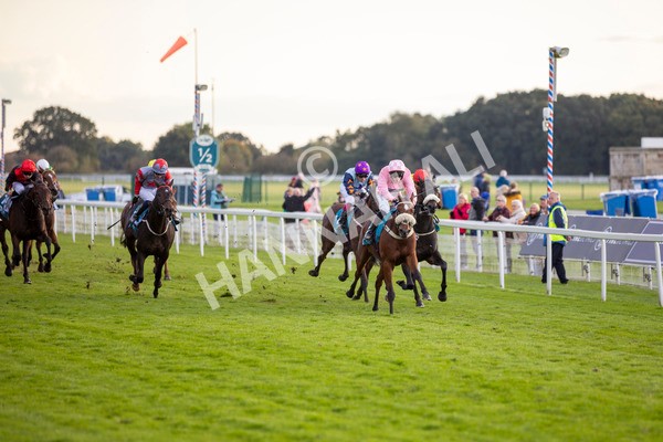 111024-Race 7-On The River-7062 - Race 7 4.55pm Ire Incentive, It Pays To Buy Irish Apprentice Handicap