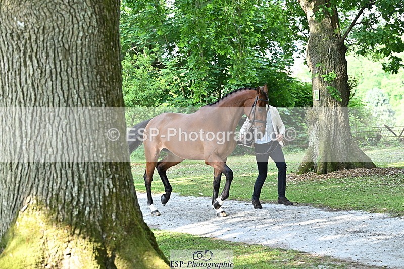 250521A-165128-01380 - C-269-Tom.Grant-NEW.NINI