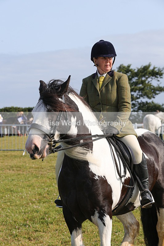 1X9A3344 - Class 28: Ridden Native/Trad Coloured Pony