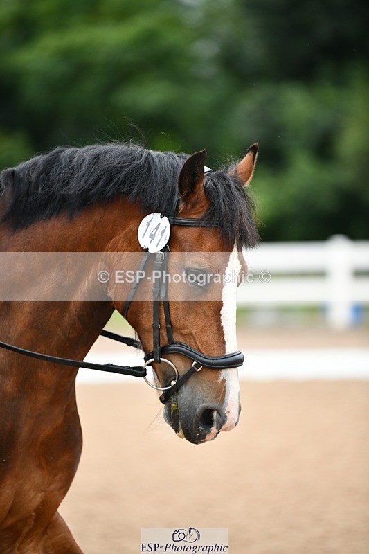 250705-092847-00020 - BRCP1 Sections BRCP1SNR, BRCP1JNR 09-30 to 10-40