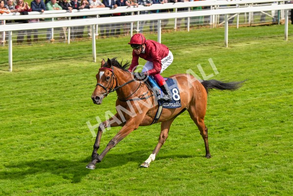 170523-Race 4-Soul Sister-8760 - Race 4 3.35pm Tattersalls Musidora Stakes