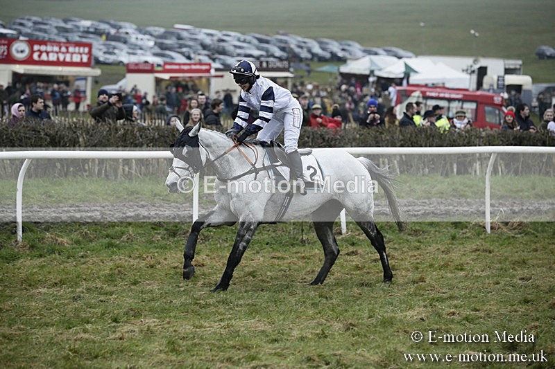 PtP 020418 -57 - Old Berks Point-to-Point Races Easter Monday 02/04/18