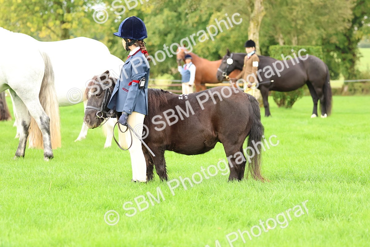 SBM_32848 - S8 - Best Turned Out