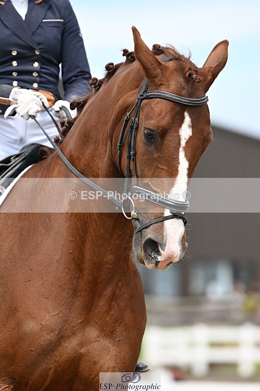 240621A-144023-04317 - Cls 8 BD Elementary 53