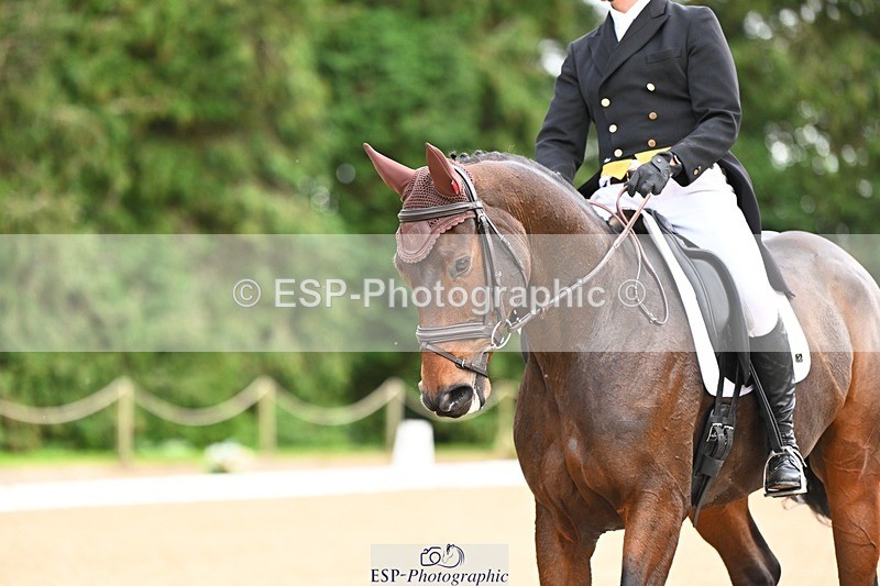 231020-144554-10348 - 210-TREGARON-Gubby.Leech-DR