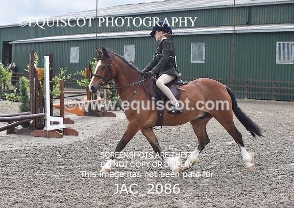JAC_2086 - CLASS 1 Nursery Novice Working Hunter