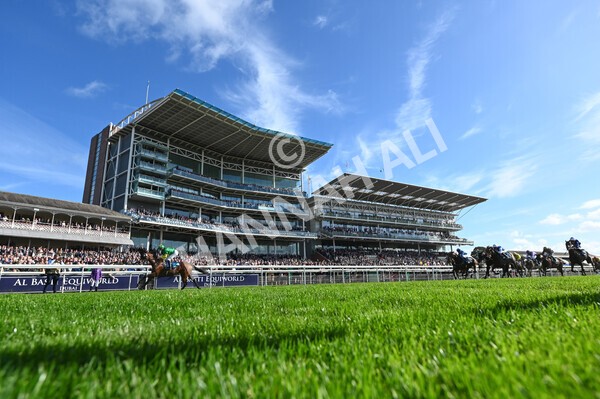 yr08102022r1-25 - Race 1 1.30pm The Coral Play 'Racing-Super-Series' for Free Nursery Handicap