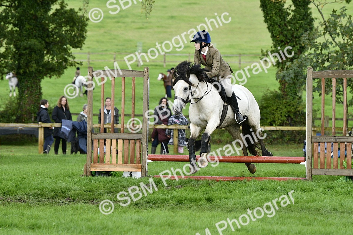 SBM_41519 - S32 - Mountain & Moorland Working Hunter Pony