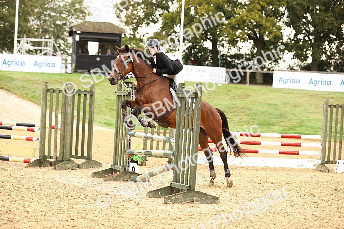 SBM_58320 - J41 - Grand Tour Horse & Pony 95cm