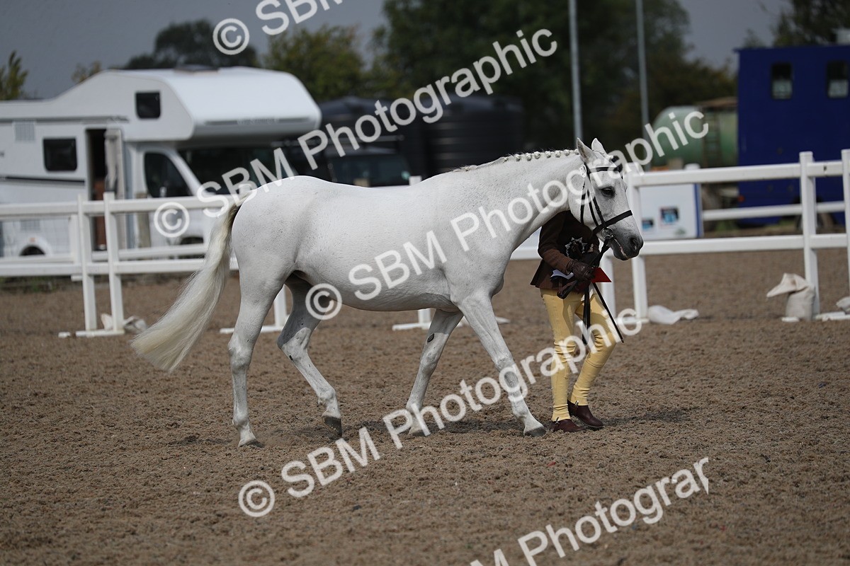 SBM_23202 - Class 605 - 2025 Area - IH Veteran