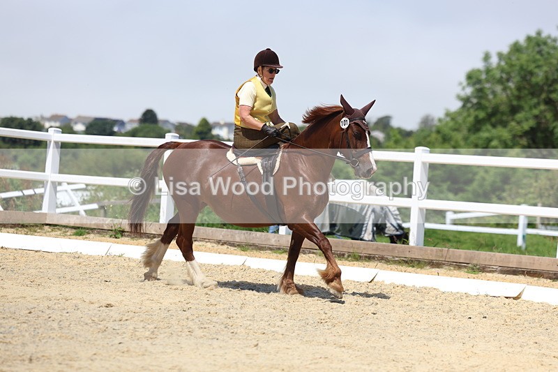 3E7A0950 - Class 3: Unaffiliated Prelim 3 2024 Section A