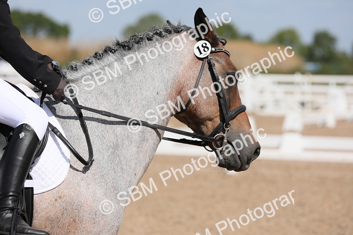 SBM_03984 - Class 31 Prelim 1